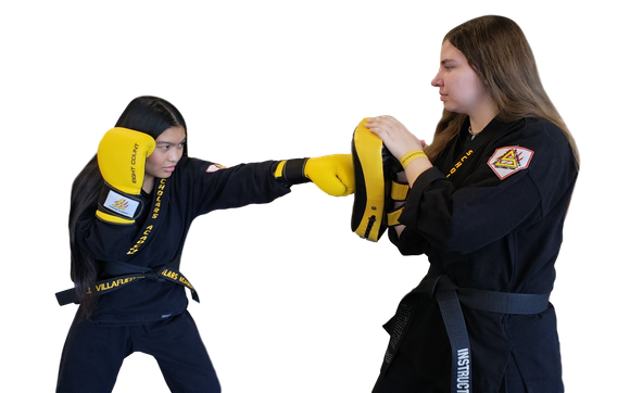 Teen and Adult Kickboxing by Scholars Academy