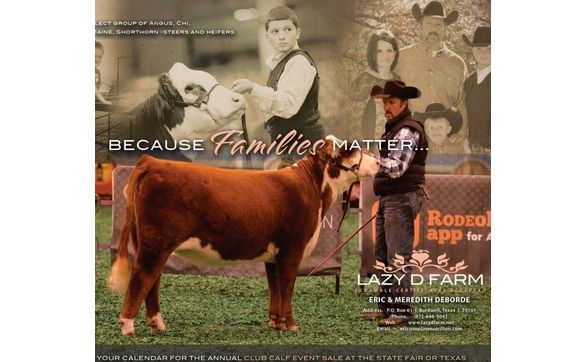 Elite Trailer Dealer, Livestock & Home Grown Beef by Lazy D Farm