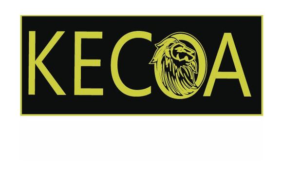 Illustration by Beautiful Things LLC