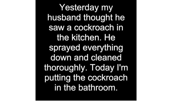 Insect Killer by Ace Solenberger's Home & Hardware