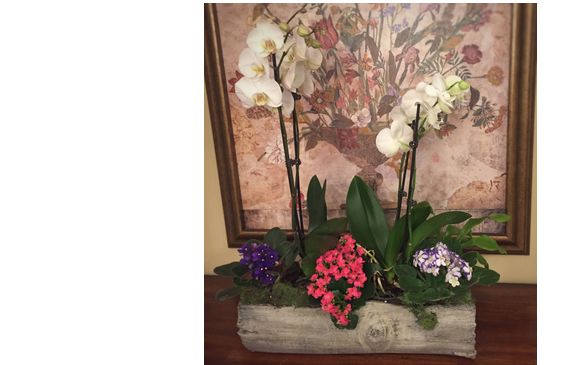 Planters by Jorbelina Flowers