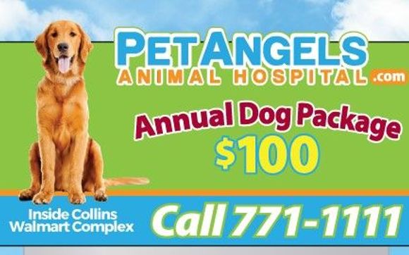 Annual Dog Package  $ 100 by Pet Angels Animal Hospital