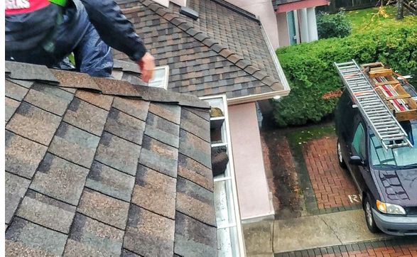 Gutter Cleaning by Jordan Douglas / ShieldX