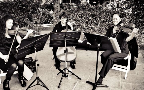 music music music.classical or contemporary by Caprice Strings