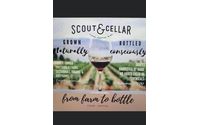 Online Ordering by  Karola Cavagna Scout and Cellar Clean Crafted Wines Independent consultant
