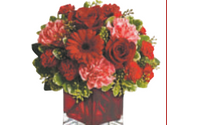 Gift Cards by Chappell's Florist