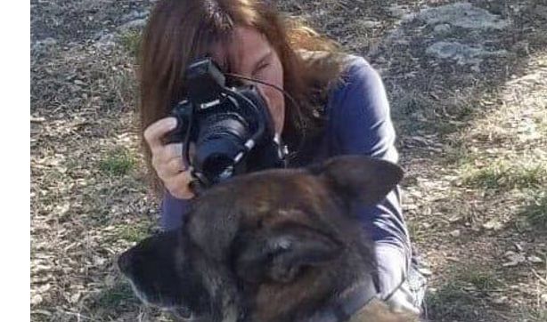 Canine and feline Iridology reading by IrisSkies Iridology and Astrology