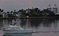 Fishing Tours & Sightseeing by Four Reel Sportfishing