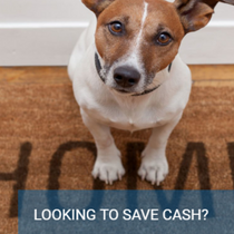 Looking to Refinance Your Dog's Home?  by Mortgage Loan Officer, AMS Mortgage Inc.
