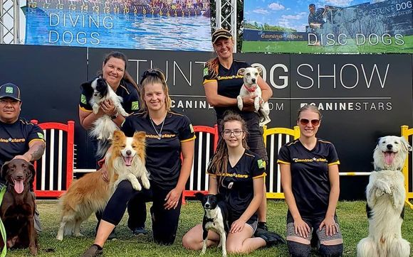 Entertainment shows with performing dogs by The Canine Stars Stunt Dog Show