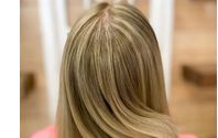 Highlights by Salon 35