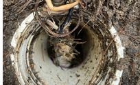 Sewer Cleaning by United Plumbing & Drain