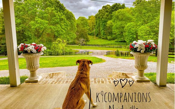 Obedience Training by K-9 Companions Nashville