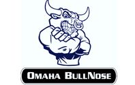 Free Estimates by Omaha bullnose