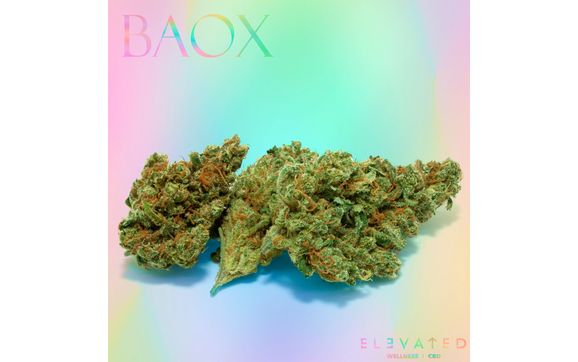 Centennial BaOx by Elevated Wellness Austin