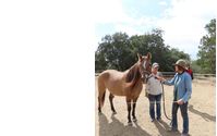 Clinics by Whole Horsemanship