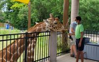 Kid-Friendly Travel Options by VISIT QUAD CITIES Quad Cities Convention & Visitors Bureau 