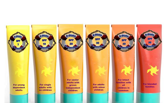 "S-State Protection Formulas" for Estate Plans by Lifeguarding Legacies, PLLC