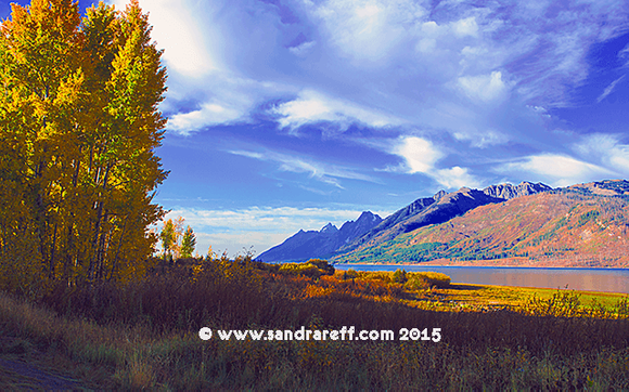 Fine Art Photography by Contemporary Art of Sandra Reff