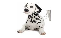 Got Spots? Call Folsom Lake Carpet Cleaning. by Folsom Lake Carpet Cleaning