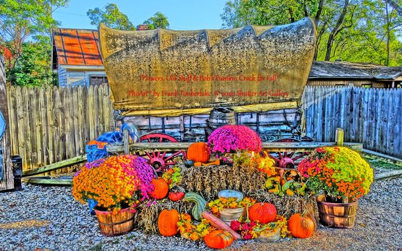 "Flowers, Old Stuff & Bob's Pumpkin Crack for Fall" by Shutter Art Gallery