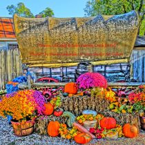 "Flowers, Old Stuff & Bob's Pumpkin Crack for Fall" by Shutter Art Gallery