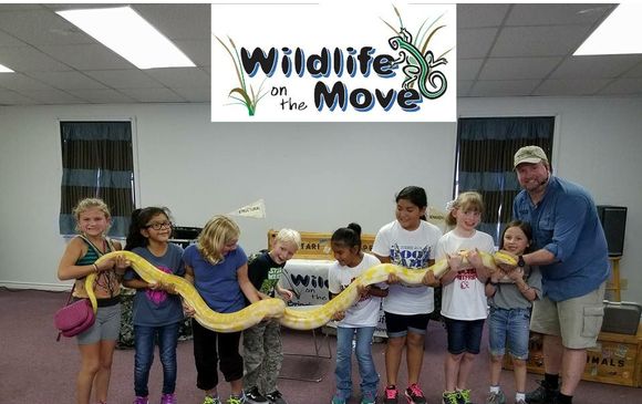 Petting Zoo/LIVE Animal Interaction Station  by Wildlife On The Move, Inc.