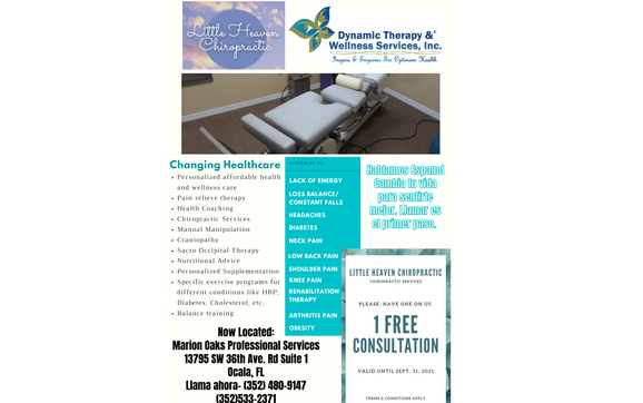 Weight Management by Dynamic Therapy and Wellness Services