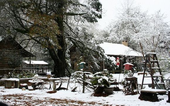 Meador Homestead B&B and Tea Room by Meador Homestead B&B
