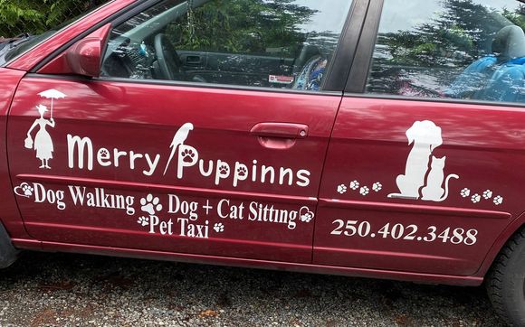 DOG WALKING, DOG/CAT SITTING, PET TAXI SERVICES, ANIMAL REIKI. by Merry Puppinns Dog Walking/Cat Visits/Petsitting Services