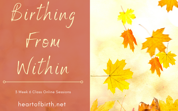 Birthing From Within Online Class by Heart of Birth