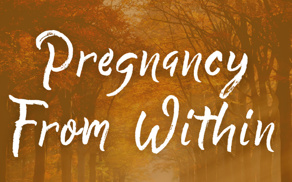 Pregnancy From Within Online Class by Heart of Birth