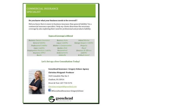 Business Insurance Review by Insurance Agent Christina Weigand- Goosehead Insurance