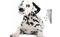 Folsom Lake Carpet Cleaning by Folsom Lake Carpet Cleaning