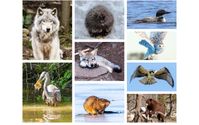 Wildlife and Nature Photo Products by JHC Photography