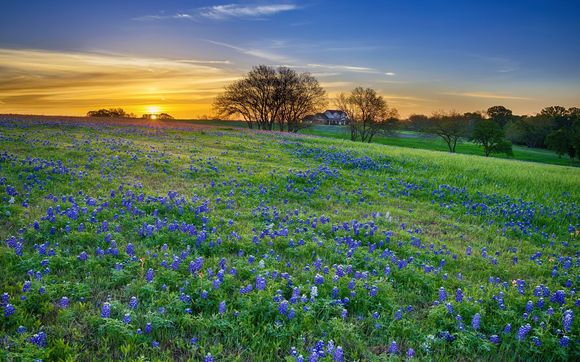 Home Sales by Dirk Gibson Realtor