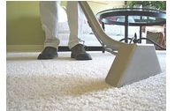 Carpet Cleaning by Vanguard Cleaning Systems