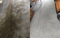 Carpet Cleaning Completely Dry In One Hour Or It’s FREE! by Martin’s Professional Carpet & Housekeeping Services