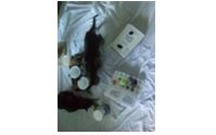 Food puzzles for bored kitties. by Bowser Limo Pet Sitting Service