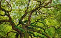 Fine Art Photography  by Wellman Image Photography