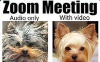 Need help? We got you!  by Classified image consultant