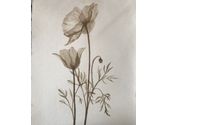 Fine Art by Carol Misner Studio