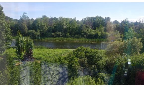 Land Real Estate by Modern Living Realty