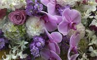 New Baby Flowers  by Plan Decor