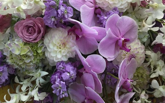 New Baby Flowers  by Plan Decor