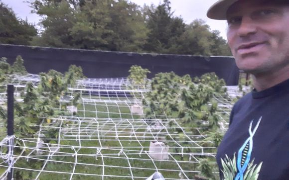 Sustainable Agriculture by Hartman Organic Grow  Llc