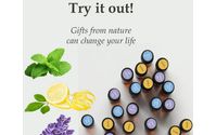 Virtual Appointments by Anointed For Action Essential Oils