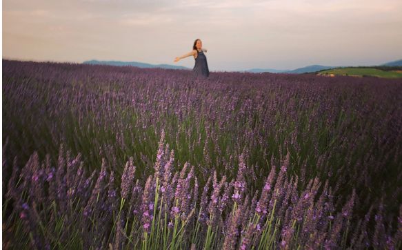 Small group tours to Provence France by Lavender and Vine