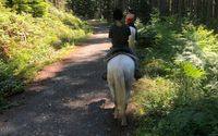 trail rides by Farm Ventures