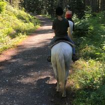 trail rides by Farm Ventures